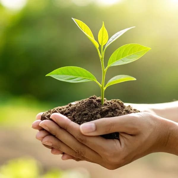 Armonía con la Naturaleza