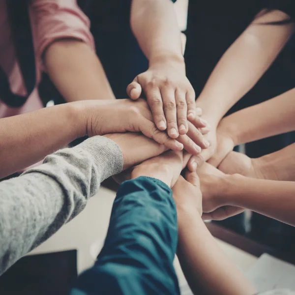 Trabajo en Equipo